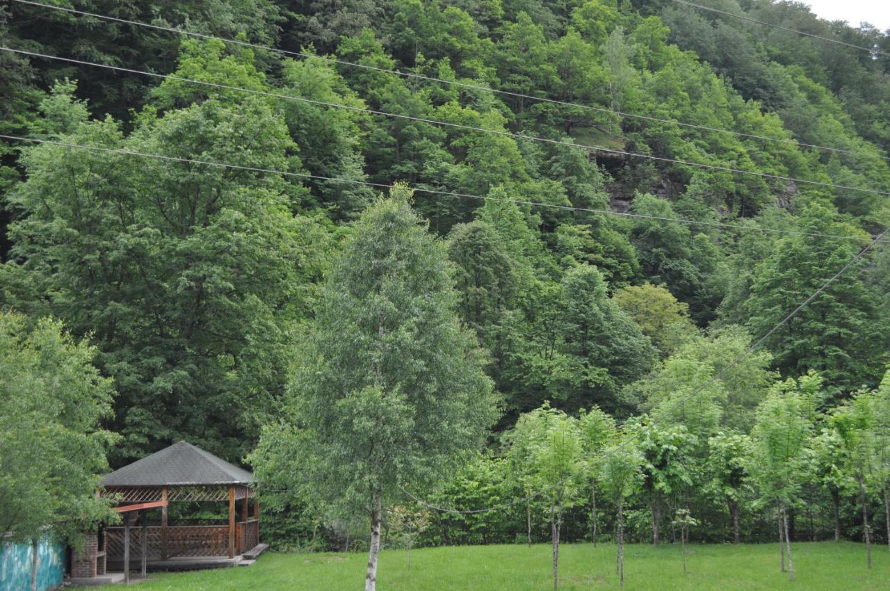 Hotel Casa Verde Rîu de Mori Esterno foto
