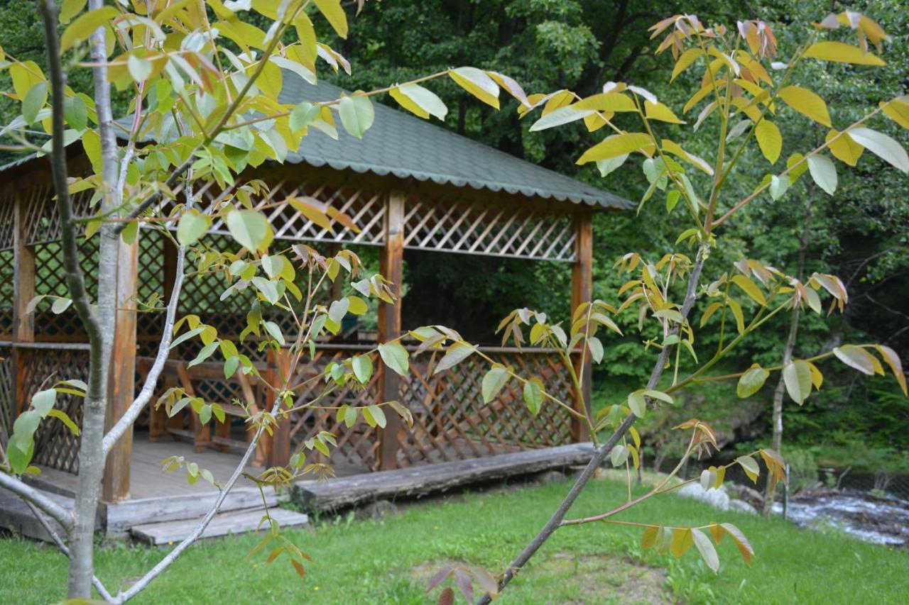 Hotel Casa Verde Rîu de Mori Esterno foto